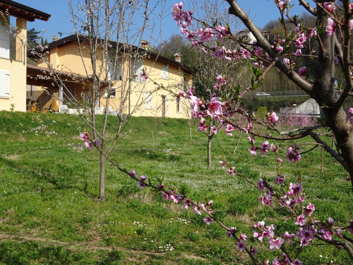 Cascina Legnago Trilocale A 6 Chilometri Da Salo' Lägenhet Villanuova sul clisi Exteriör bild