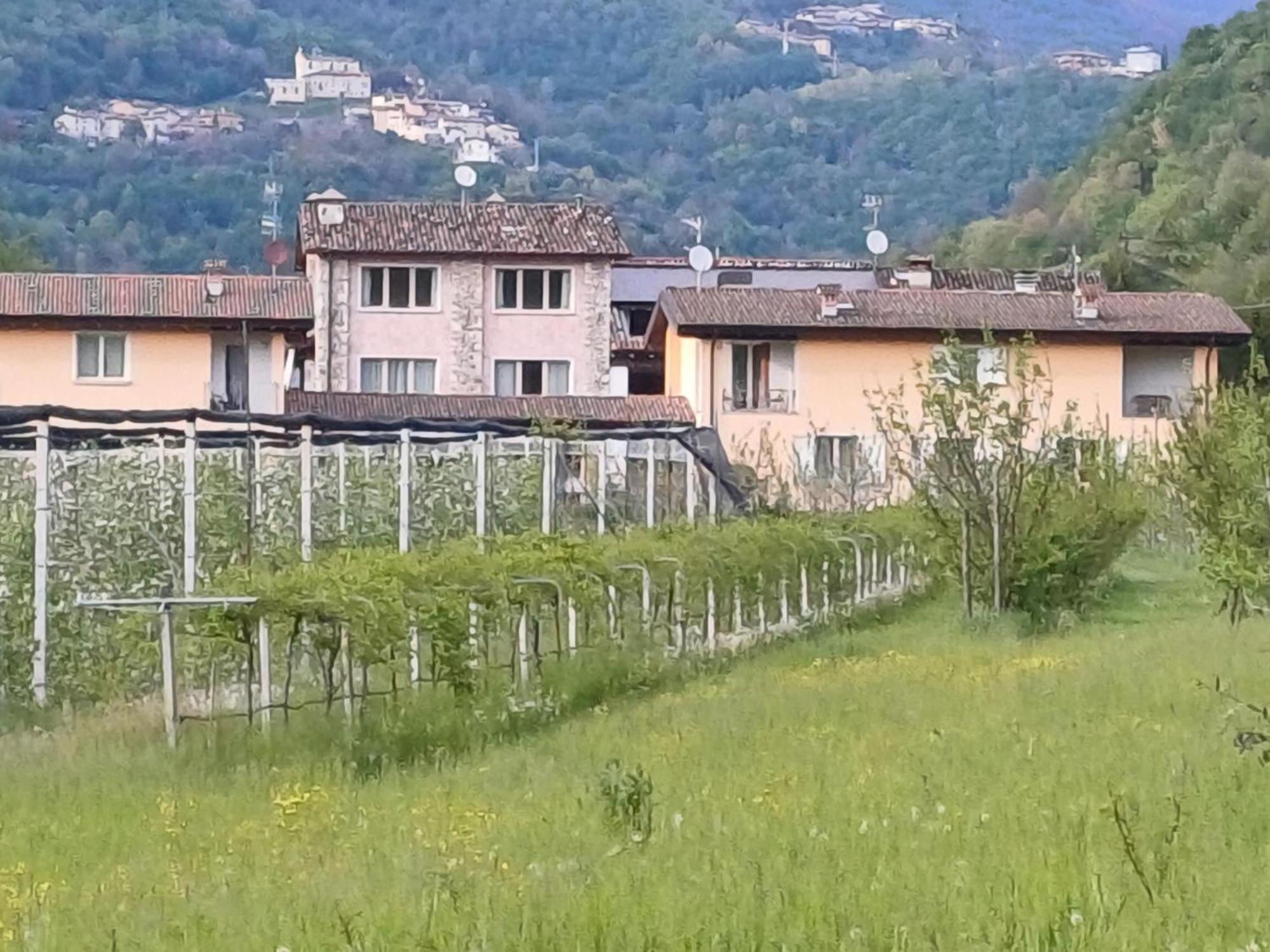 Cascina Legnago Trilocale A 6 Chilometri Da Salo' Lägenhet Villanuova sul clisi Exteriör bild
