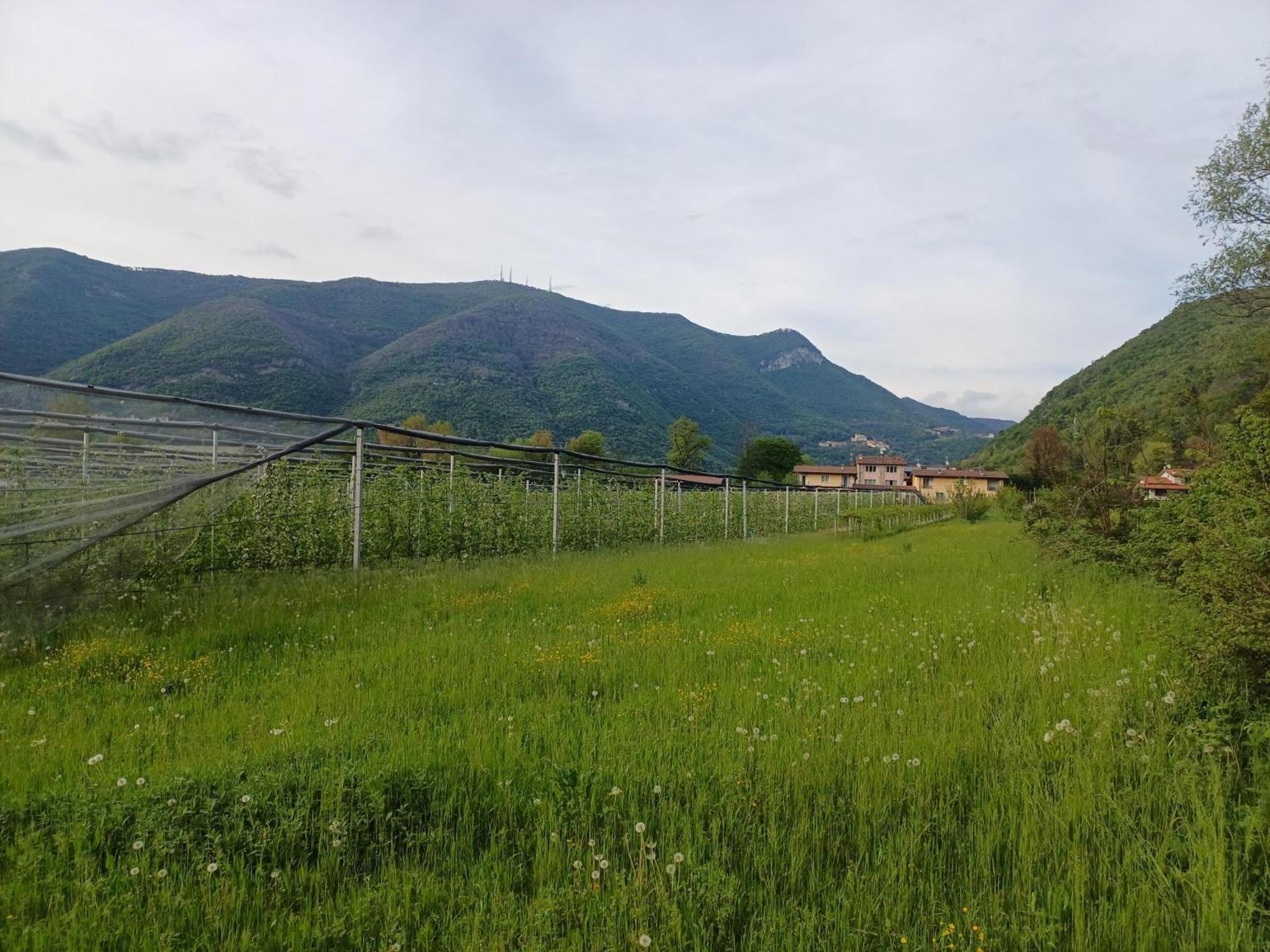 Cascina Legnago Trilocale A 6 Chilometri Da Salo' Lägenhet Villanuova sul clisi Exteriör bild